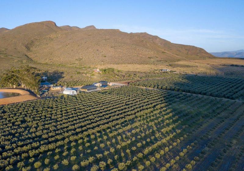 7 Bedroom Property for Sale in Robertson Western Cape